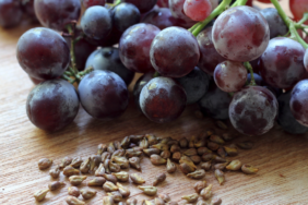 Vitis Vinifera