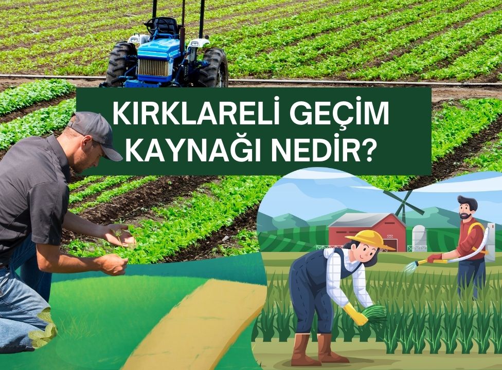Kırklareli geçim kaynağı nedir?
