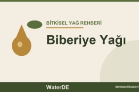 Biberiye Yağı faydaları ve kullanımı