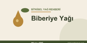 Biberiye Yağı faydaları ve kullanımı