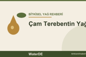 Çam Terebentin Yağı faydaları ve kullanımı
