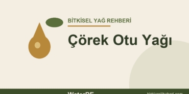 Çörek Otu Yağı faydaları ve kullanımı