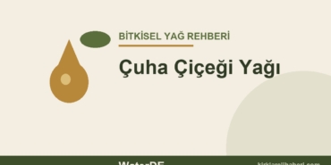 Çuha Çiçeği Yağı faydaları ve kullanımı