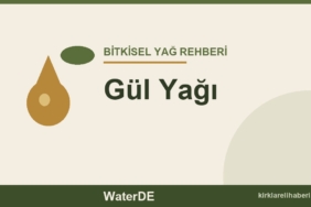 Gül Yağı faydaları ve kullanımı