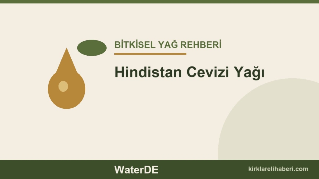 Hindistan Cevizi Yağı faydaları ve kullanımı