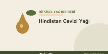 Hindistan Cevizi Yağı faydaları ve kullanımı