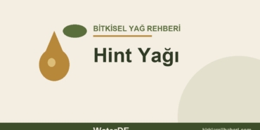 Hint Yağı faydaları ve kullanımı