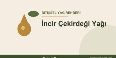 İncir Çekirdeği Yağı faydaları ve kullanımı