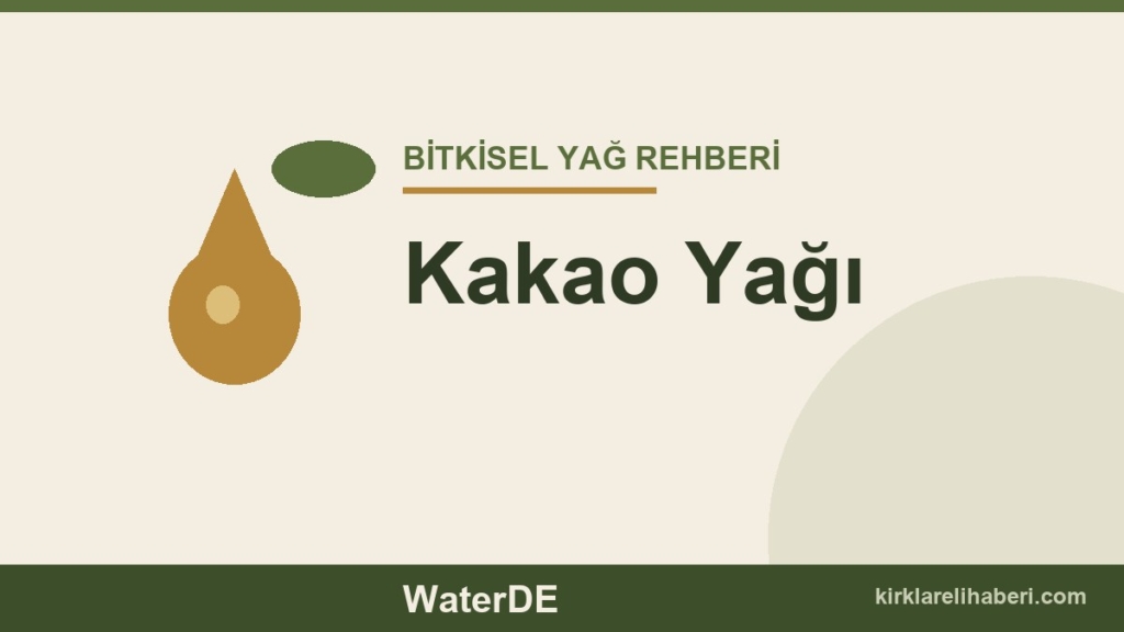 Kakao Yağı faydaları ve kullanımı