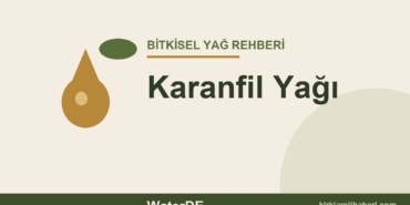 Karanfil Yağı faydaları ve kullanımı