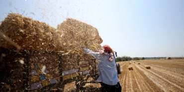 Kırklareli hasat