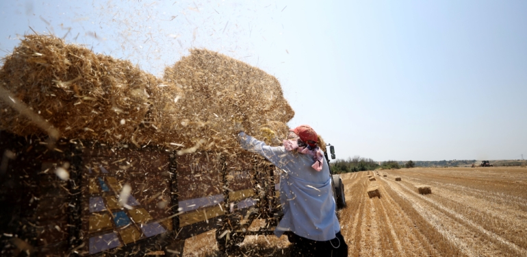 Kırklareli hasat