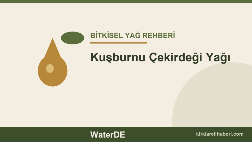 Kuşburnu Çekirdeği Yağı faydaları ve kullanımı