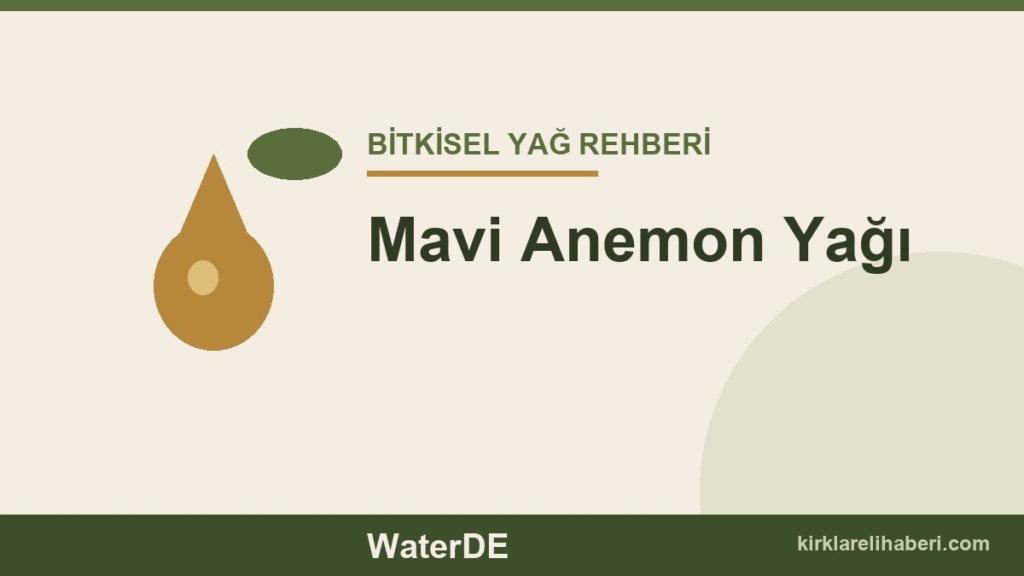 Mavi Anemon Yağı faydaları ve kullanımı