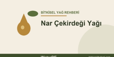 Nar Çekirdeği Yağı faydaları ve kullanımı