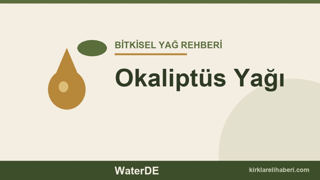 Okaliptüs Yağı faydaları ve kullanımı