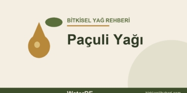 Paçuli Yağı faydaları ve kullanımı