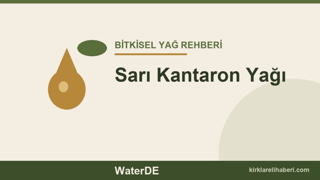 Sarı Kantaron Yağı faydaları ve kullanımı