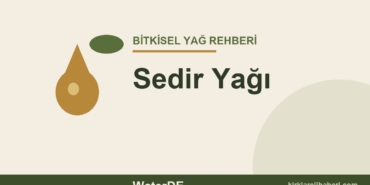 Sedir Yağı faydaları ve kullanımı