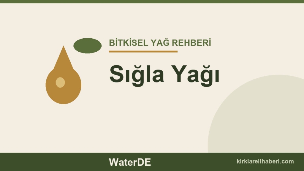 Sığla Yağı faydaları ve kullanımı