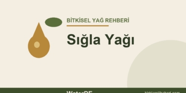 Sığla Yağı faydaları ve kullanımı