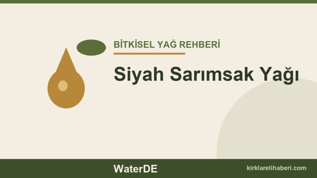 Siyah Sarımsak Yağı faydaları ve kullanımı