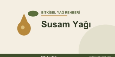 Susam Yağı faydaları ve kullanımı