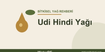 Udi Hindi Yağı faydaları ve kullanımı