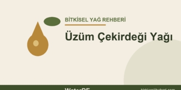Üzüm Çekirdeği Yağı faydaları ve kullanımı