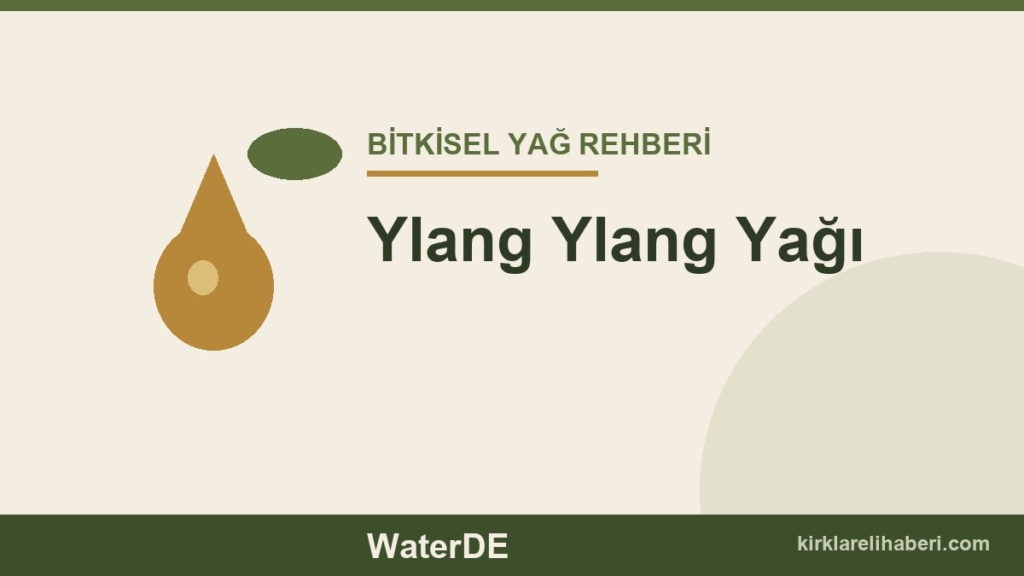 Ylang Ylang Yağı faydaları ve kullanımı