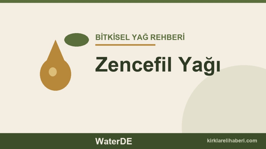 Zencefil Yağı faydaları ve kullanımı