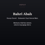 Bahri Abalı