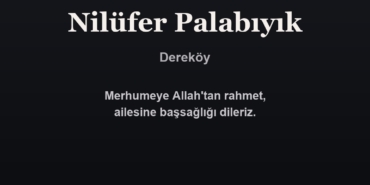 Nilüfer Palabıyık
