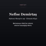 Nefise Demirtaş